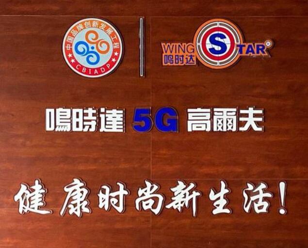 韓國原裝進(jìn)口wingStar-WS5型模擬高爾夫